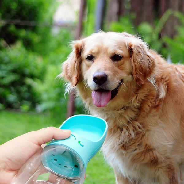 Portable And Convenient Pet Dog Water Bottle Outdoor Travel Dog