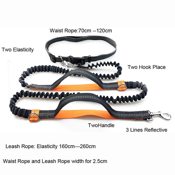 PET DOG RETRACTABLE HANDS FREE RUNNING LEASH WITH REFLECTIVE LINES FOR SAFETY
